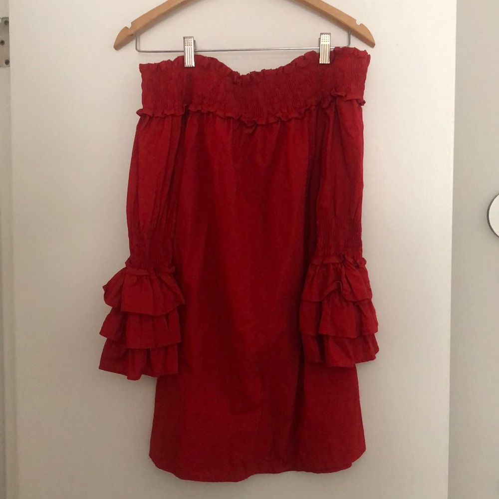 Red dress: scrunchy elastic top/fun flare sleeves